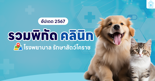 638452307435154424-Veterinary Hospitals.png